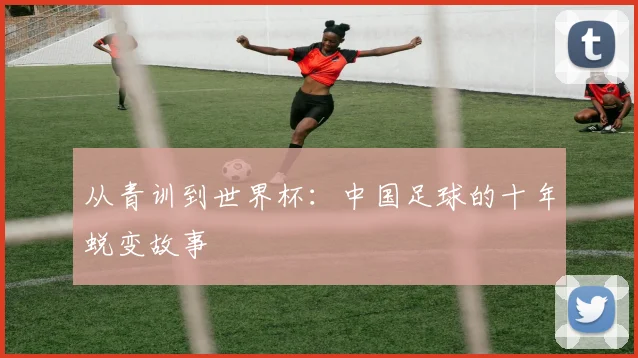 从青训到世界杯：中国足球的十年蜕变故事