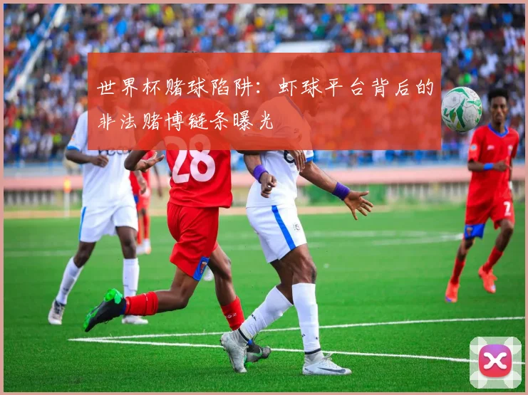 世界杯赌球陷阱：虾球平台背后的非法赌博链条曝光